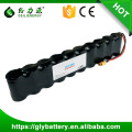 Batterie rechargeable de haute qualité 12V NIMH D9000